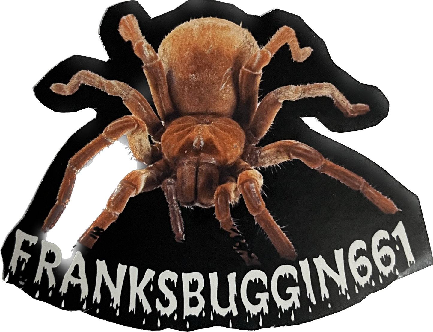 T Stirmi Sticker