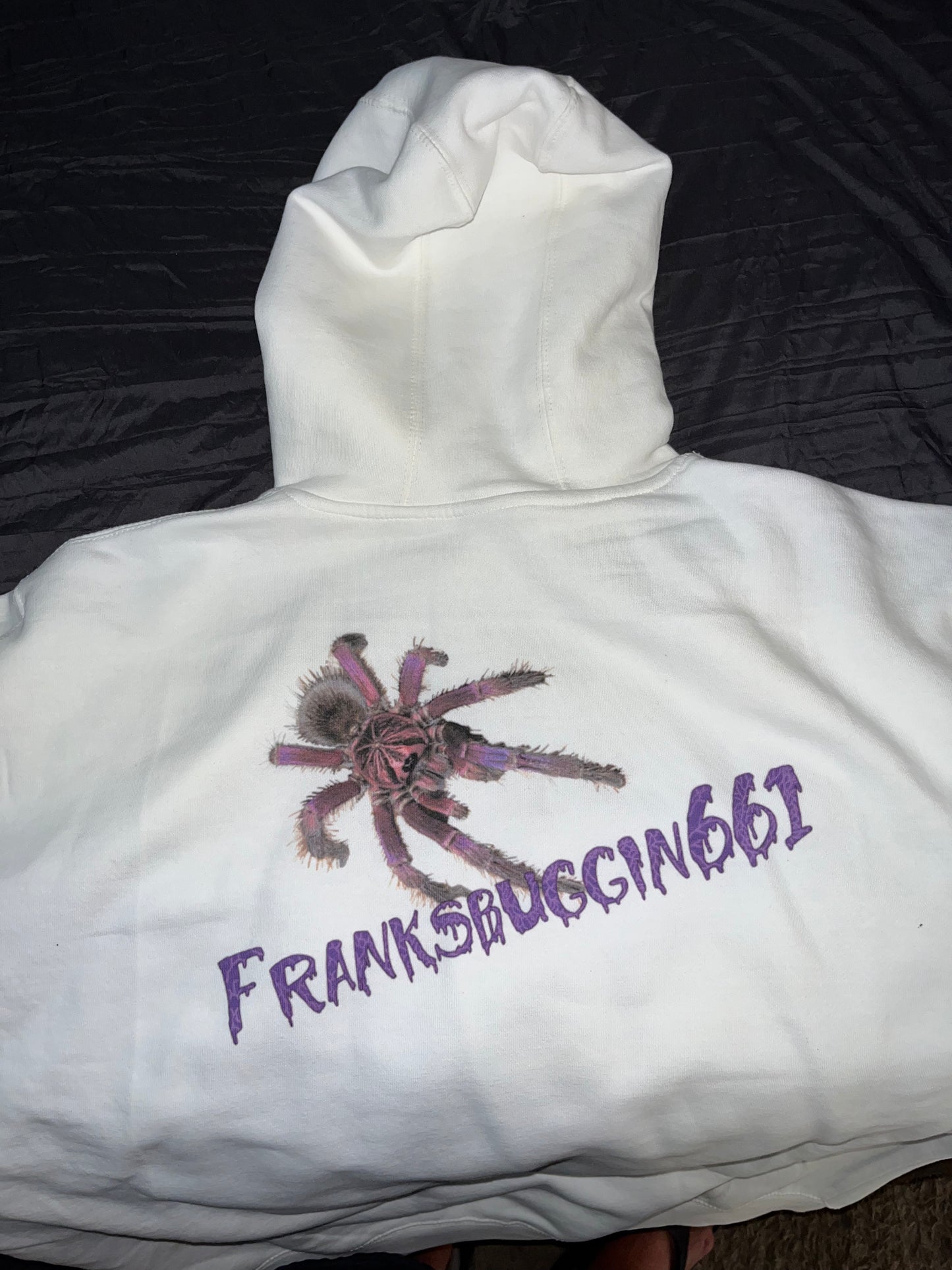 DTG Franksbuggin661 Hoodie