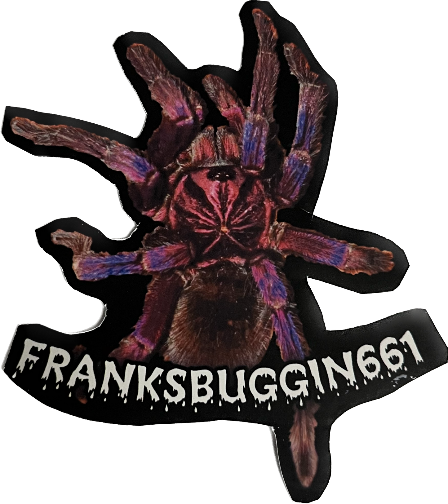 Pamphobeteus Machala sticker