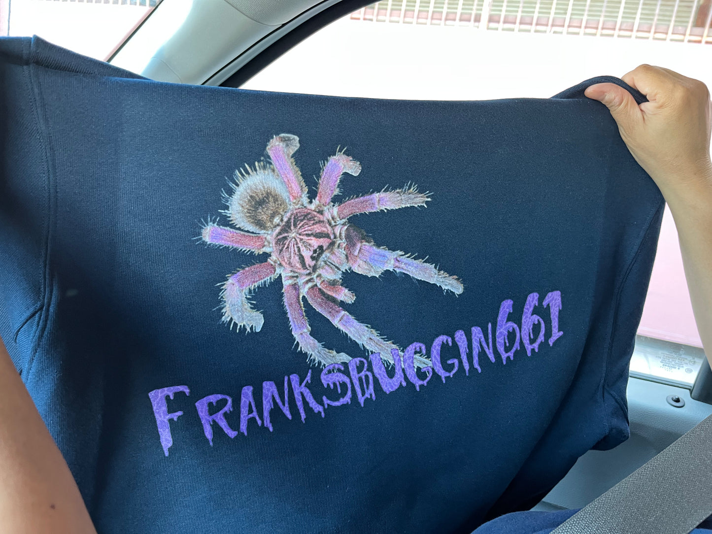 DTG Franksbuggin661 Hoodie