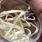 Stegodyphus lineatus .5