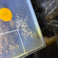 Poecilotheria tigrinawesseli 3 in