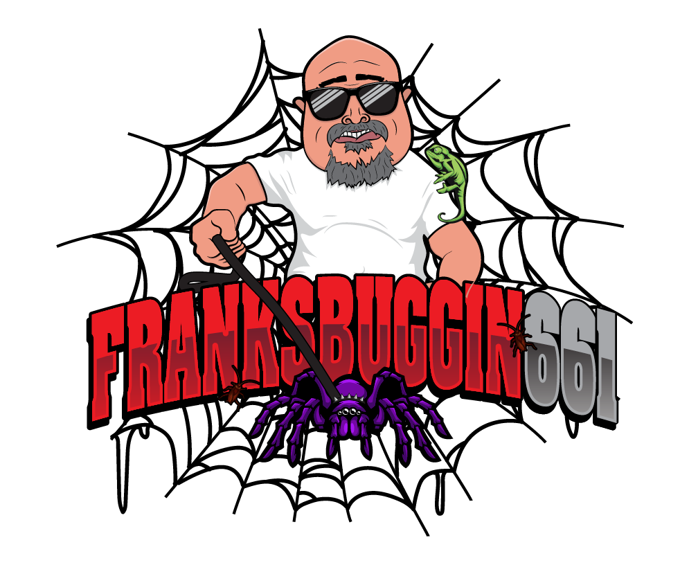 Franksbuggin661