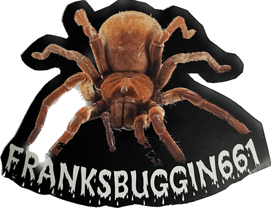 T Stirmi Sticker