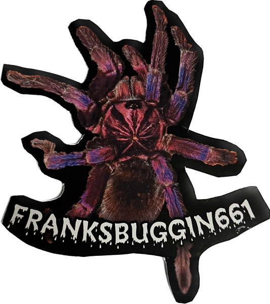 Pamphobeteus Machala sticker
